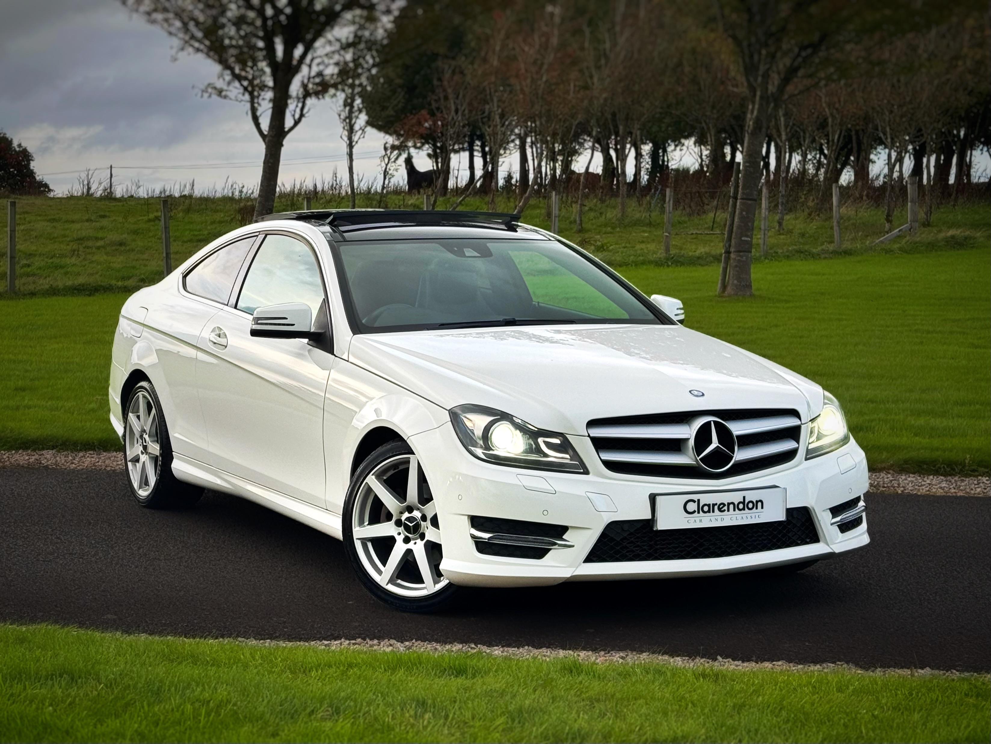 Mercedes-Benz C220 Premium Plus, 2014 for sale